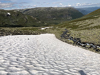 Gråbein_20220722_62daeaebc3b73.jpg