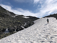 Gråbein_20220722_62daeaec760d0.jpg