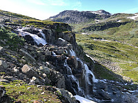 Gråbein_20220722_62daeaed324c0.jpg