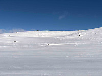Gråbein_20230219_63f215f6bad5d.jpg