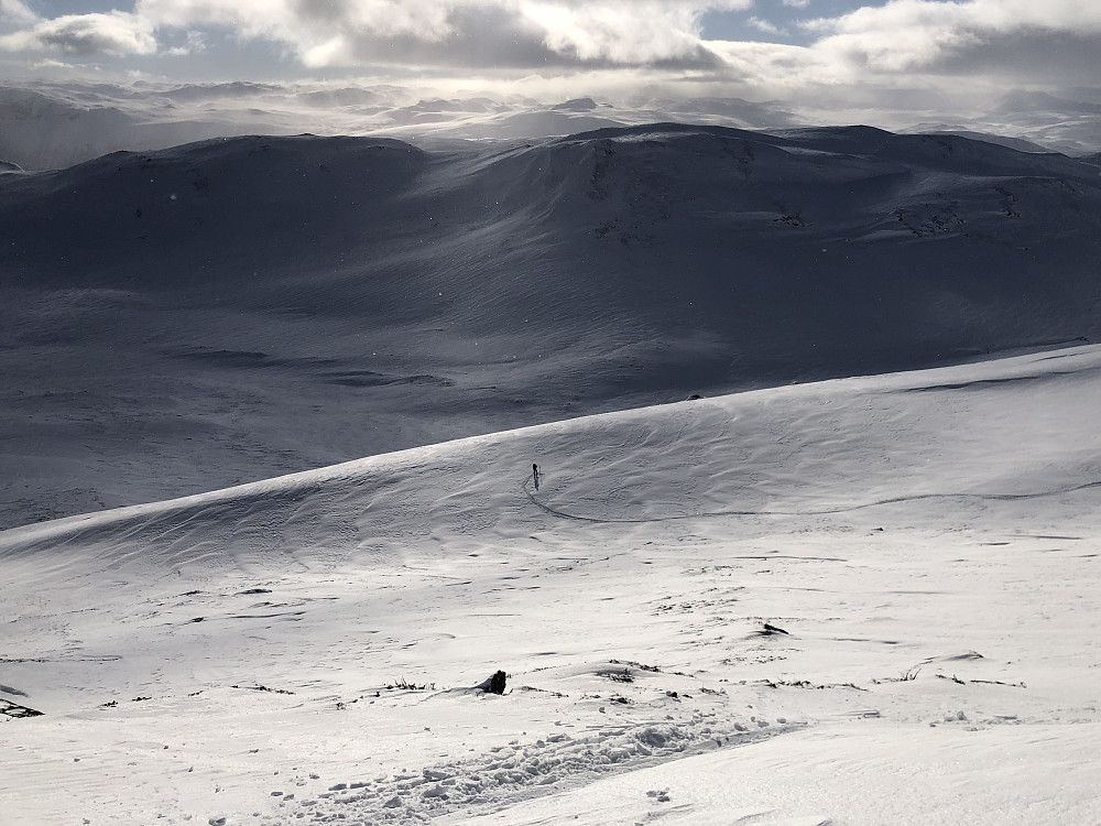 Svindalen i skyggen under oss, og Ryggen bak.