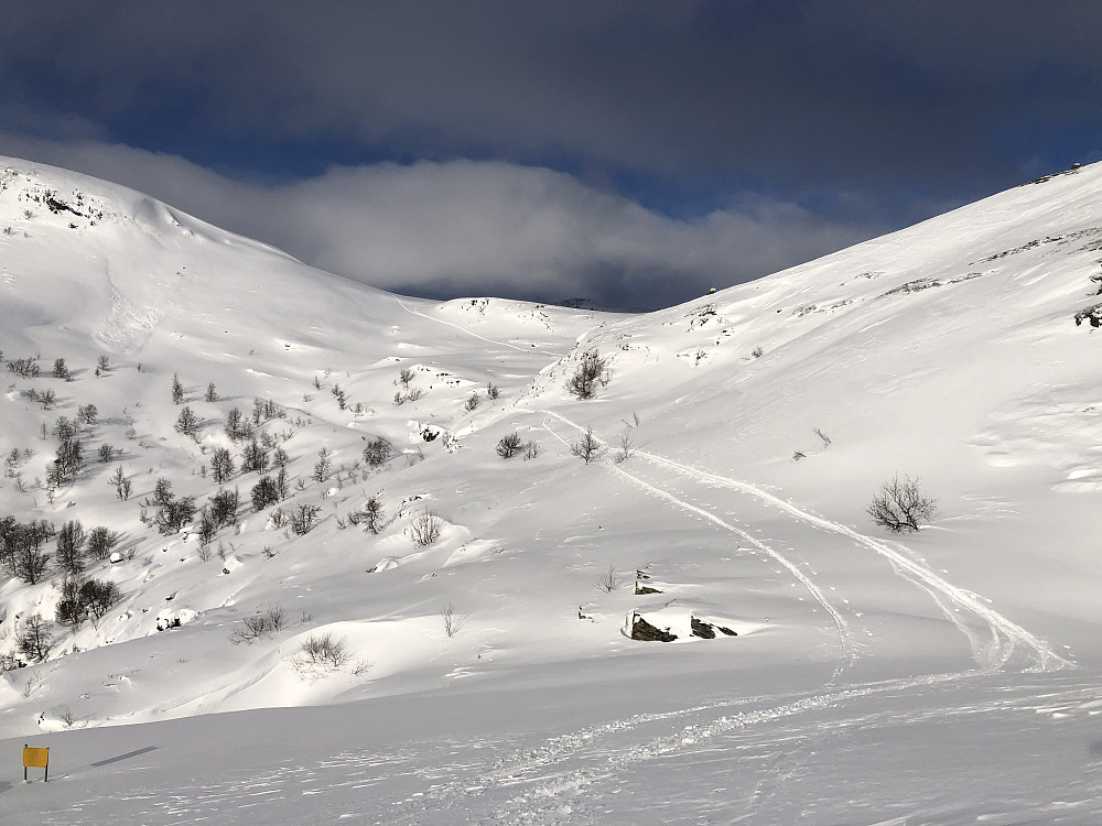 Det har rast opp til venstre i bildet. På vei ut av Svindalen, og ned i bjørkeskogen.