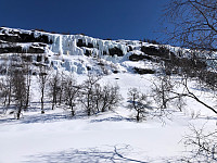 Gråbein_20230401_642811c4b16c1.jpg