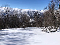 Gråbein_20230401_642811c550cd8.jpg