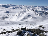 Gråbein_20230402_64296c690f181.jpg