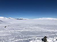 Gråbein_20230402_64296c699536f.jpg