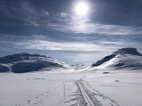 Gråbein_20230408_64317660054be.jpg