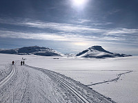 Gråbein_20230408_643176607653d.jpg