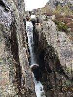 Gråbein_20230527_64720b09533bb.jpg
