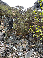 Gråbein_20230527_64720b0b217ac.jpg