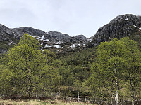 Gråbein_20230527_64720b0bb7b7d.jpg