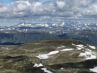 Gråbein_20230711_64ada64f15f3d.jpg