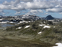 Gråbein_20230711_64ada64f937bd.jpg