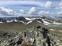Gråbein_20230711_64ada65030466.jpg