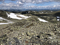 Gråbein_20230711_64ada65154c2d.jpg