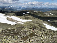 Gråbein_20230711_64ada651da889.jpg