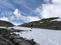 Gråbein_20230711_64ada65300077.jpg