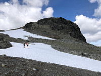 Gråbein_20230711_64ada6537860c.jpg