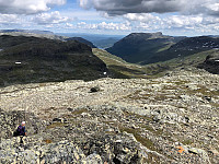 Gråbein_20230711_64ada65516811.jpg