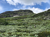 Gråbein_20230711_64ada656b0d5f.jpg