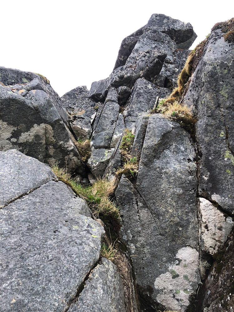 Cruxet(?), litt oppe i siste del av ryggen mot toppen.