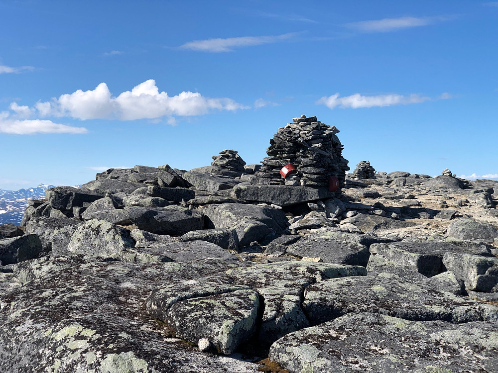 Toppvarden
