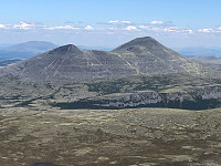 Gråbein_20250719_687b5ed85005e.jpg