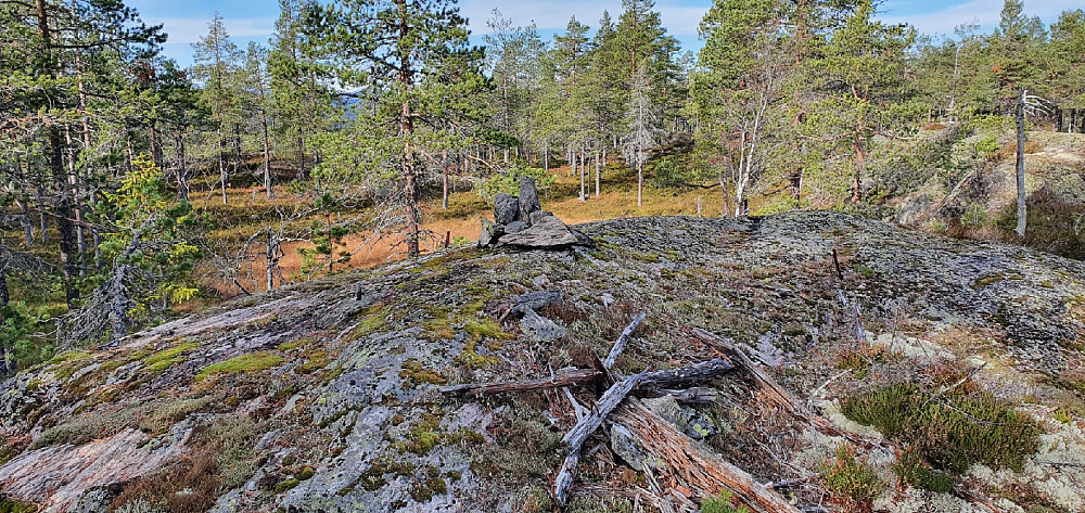 Ramberget før rydding