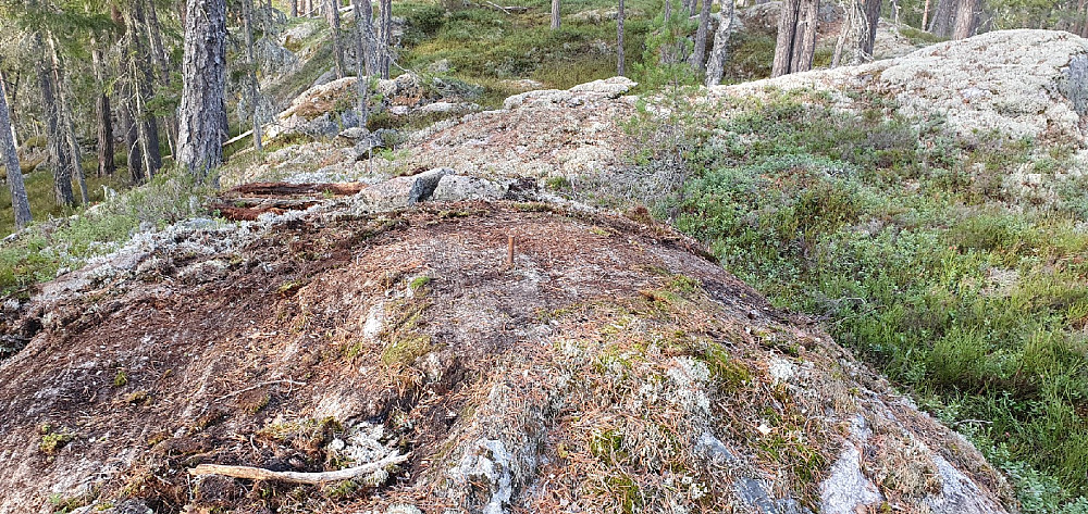 Simensrudåsen etter rydding