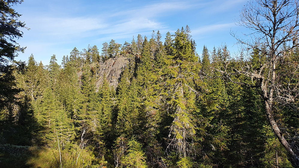 Gullikskollen (555)