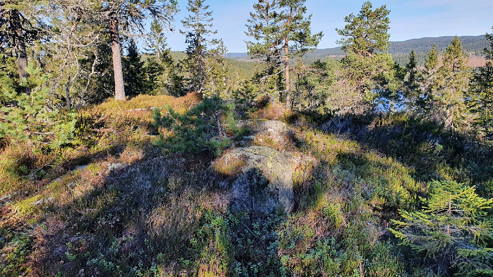 Bærumskollen (592)