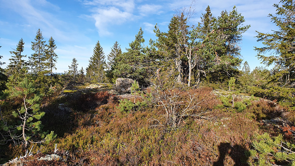 Søttjernberget 574)