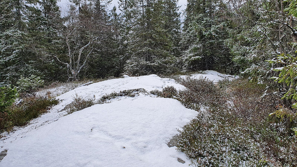 Mellomkollen