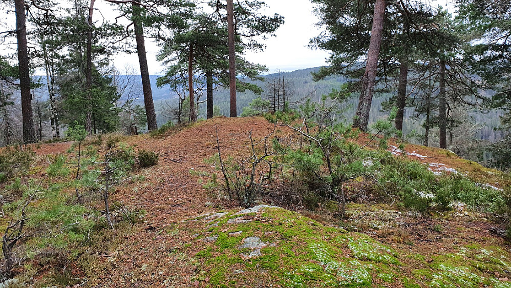 Øyungskollen