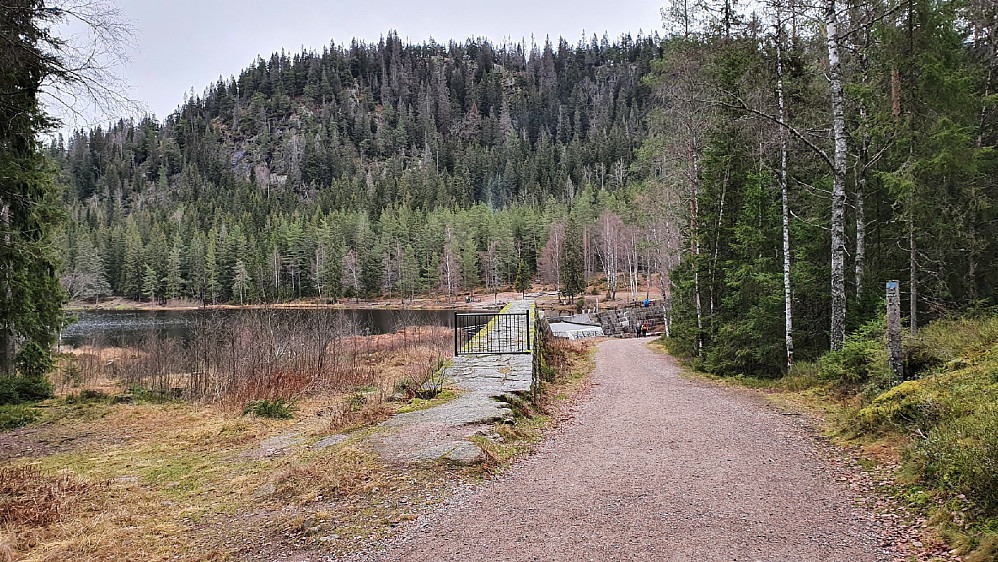 Øyungsdammen