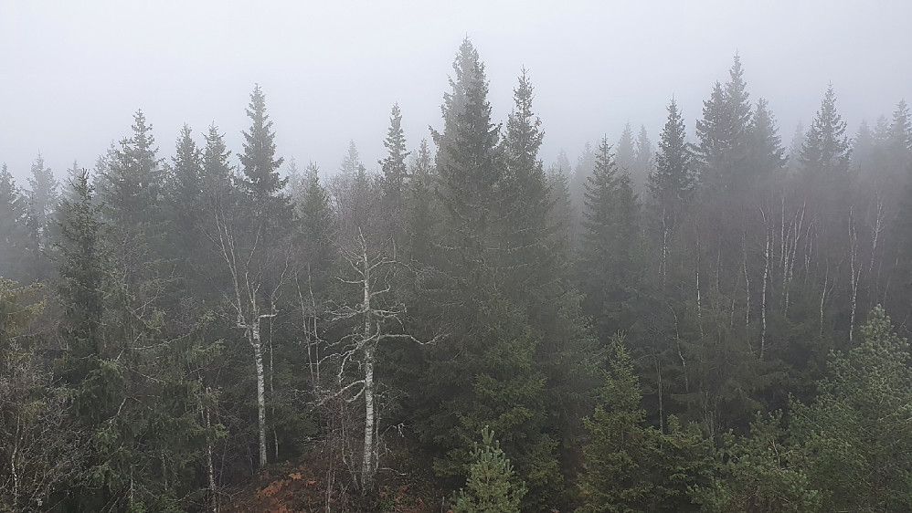Utsikten fra tårnet var mest tåke