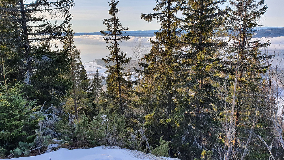 Fra Brandbukampen nord