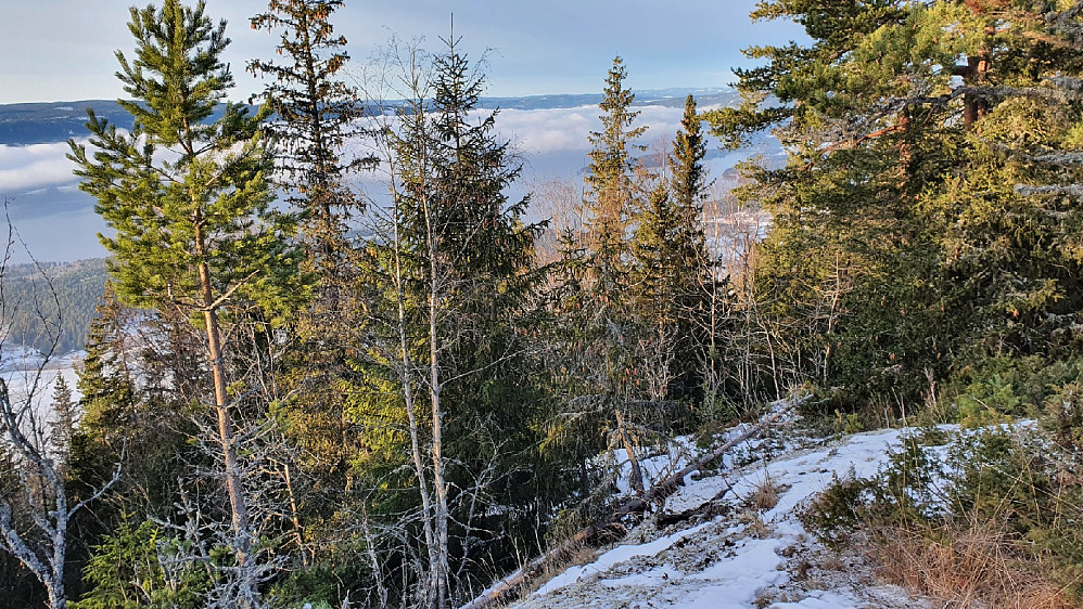 Fra Brandbukampen nord