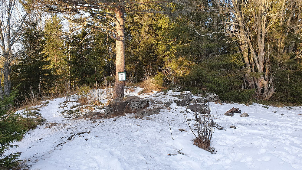 Brandbukampen