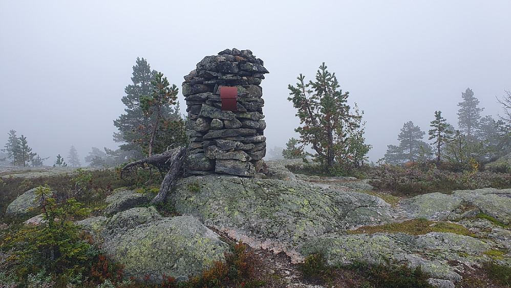 Toppvarden på Flæa