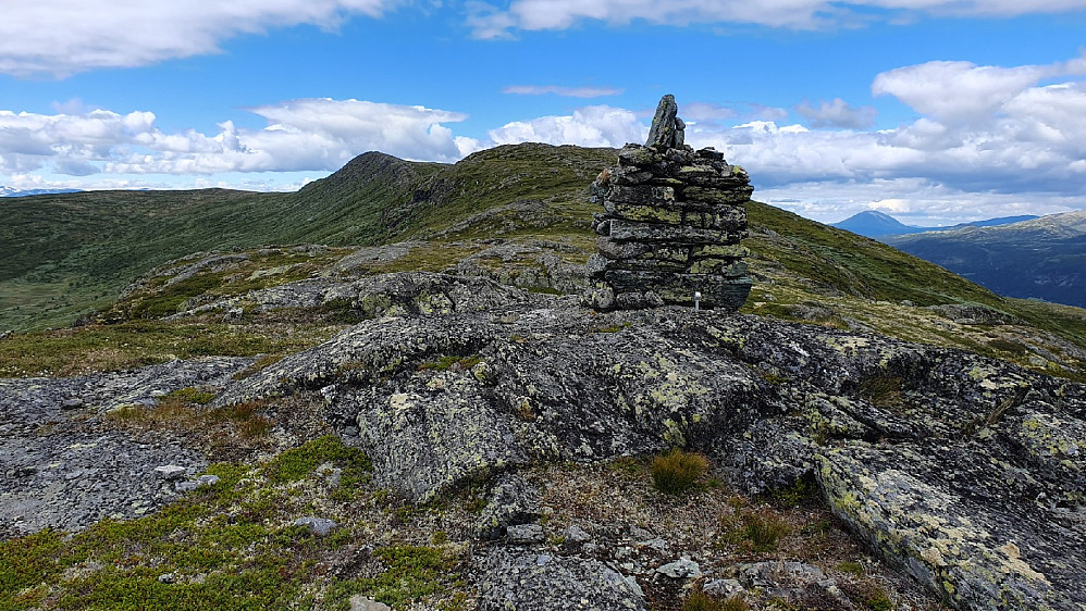 Leppskardhøgda