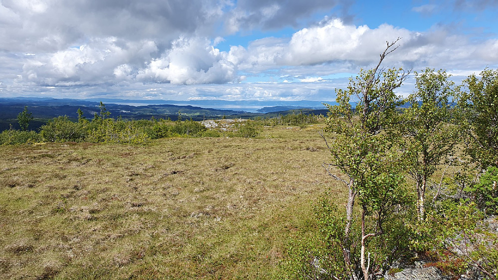 Utsikt mot Trondheimsfjorden
