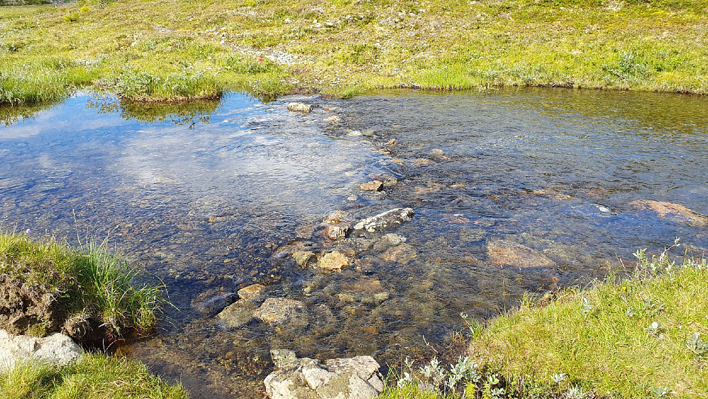 Denne bekken sør for Iltjønnin må vades