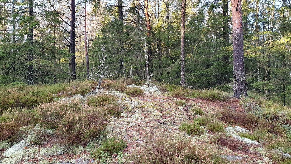 Spydeberg varde nordtoppen