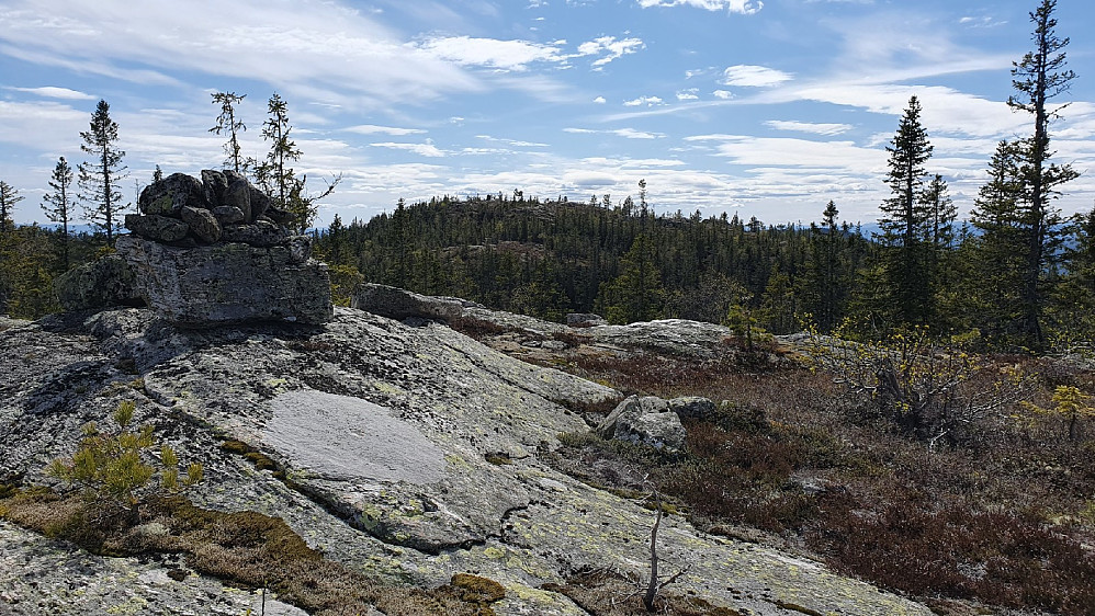 Grasingkollen