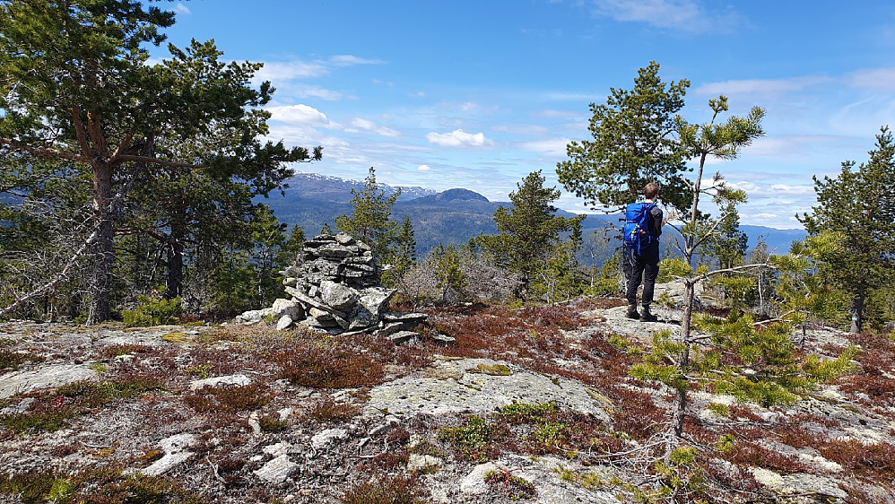 Nordvest for Grasingkollen