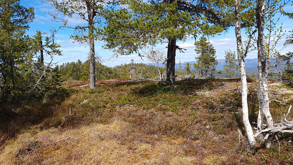 Sørøst for Dugurdsnatten