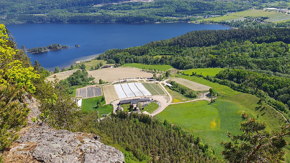 Utsikt fra Hørtekollen mot Hørte gård og Holsfjorden