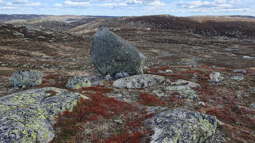 Pika