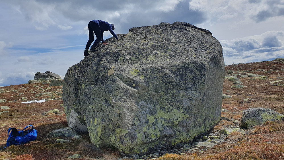 Buldrestein på Sørbølfjellet